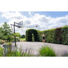 EXIT Galaxy portable basketball backboard on wheels - green/black