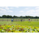 EXIT Scala aluminium football goal 16.4x6.6ft