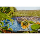 EXIT Wood pool ø427x122cm with sand filter pump - brown